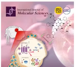 79241191-68c9-4c69-ad78-dc49b5ac60c8