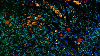 763ea605-5287-44c9-8313-896a7c588c2a.jpeg 763ea605-5287-44c9-8313-896a7c588c2a.jpeg