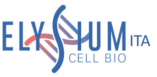 027a868f-429b-441e-b769-f705b40e65c6