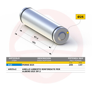 p25-perno-25-e-anelli-di-arresto-per-forcelle-p25