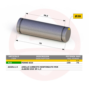 p20-perno-20-e-anelli-di-arresto-per-forcelle-p20