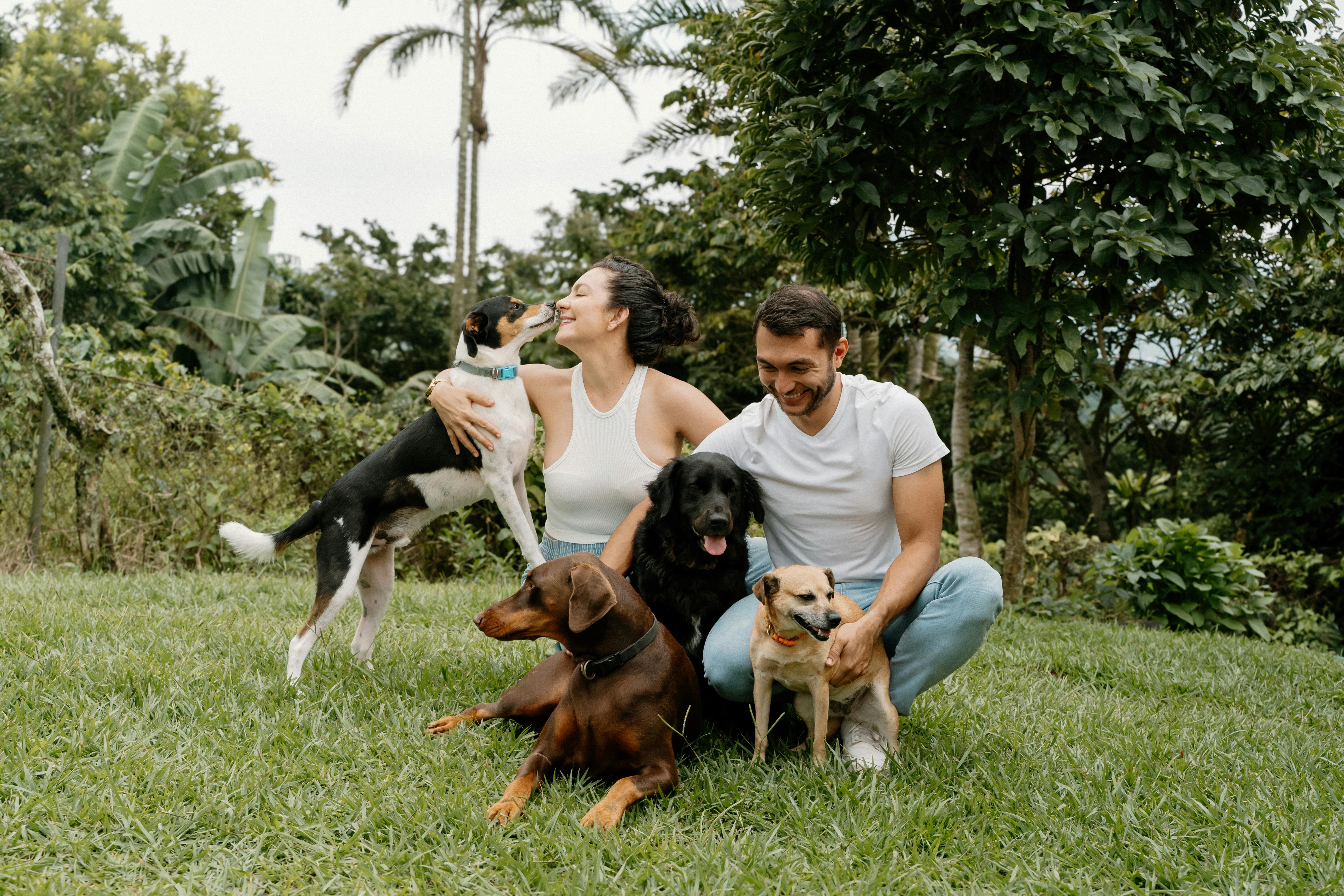 Cura del Benessere Animale: 10 Consigli Pratici per Mantenere i Tuoi Amici Pelosi Felici e Sani