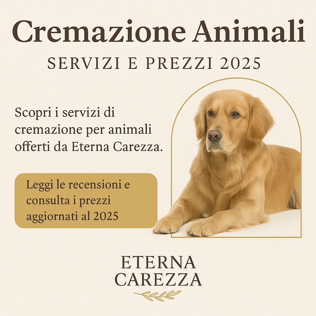 5fc2a1a9-4ebc-4339-a39e-d364fa0b3029