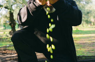 _dsc0366.jpeg _dsc0366.jpeg