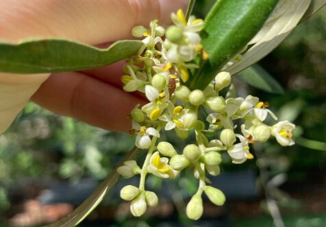 3d803e55-a9a7-4e97-bfc7-35c171dbe159 3d803e55-a9a7-4e97-bfc7-35c171dbe159