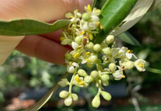 3d803e55-a9a7-4e97-bfc7-35c171dbe159