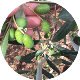 ffe601cb-a138-4c87-80d3-7406d7c26a48