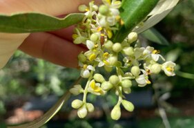 9a87e7ed-121a-4249-9f87-637c69b0ee64 9a87e7ed-121a-4249-9f87-637c69b0ee64