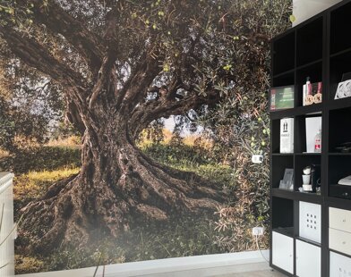 59e16dd9-af39-49aa-b5e5-1a2af975a2d7