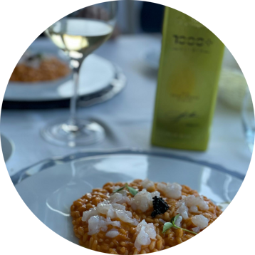 48c7886f-6f6f-4547-8dc9-2e0df0fe7b31