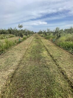 56d27bad-0fd8-4b3c-a394-b1058dadb4c8