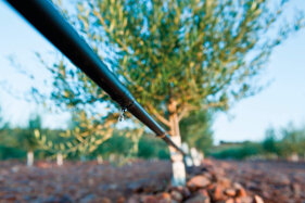 69fa7e87-db58-47bd-9c16-5ac8e194ac79 69fa7e87-db58-47bd-9c16-5ac8e194ac79