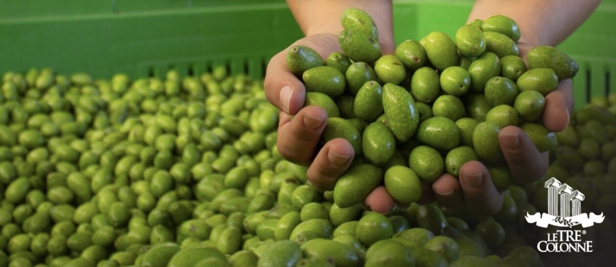 9f3d1dd1-1b24-4320-81c8-4c883c54e77f