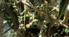 282b93c1-30a8-43de-a6a4-551c51dc1356 282b93c1-30a8-43de-a6a4-551c51dc1356