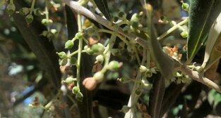 282b93c1-30a8-43de-a6a4-551c51dc1356