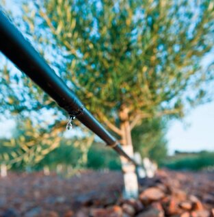 b66d40e6-6d00-4729-839b-328b6de59c2d