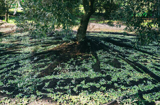 _dsc0139.jpeg _dsc0139.jpeg