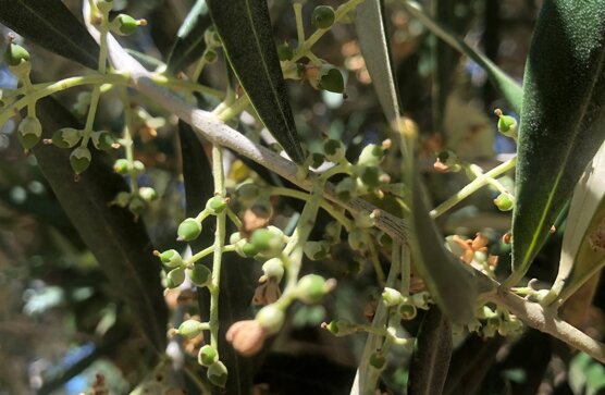 ea019b8f-1b00-436d-b128-6fb78c7d3d7e