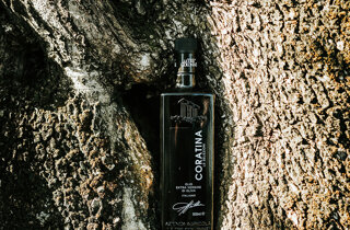 _dsc0298.jpeg _dsc0298.jpeg