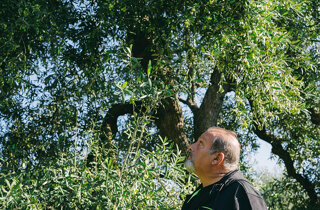 _dsc0050.jpeg _dsc0050.jpeg