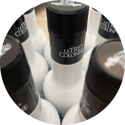 f6288e87-11a6-4bce-884c-78d3ef1b5f0e f6288e87-11a6-4bce-884c-78d3ef1b5f0e