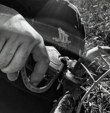 ea55359b-56c1-487e-bce2-d847f944cbee