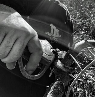 ea55359b-56c1-487e-bce2-d847f944cbee ea55359b-56c1-487e-bce2-d847f944cbee