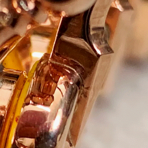 c31ddd3b-b8b1-4d0c-9f56-fe09337072dc