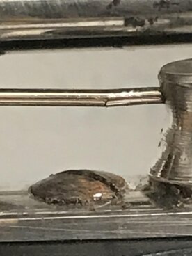 ea8067c7-b81e-4054-a7c1-b3e1e2134406