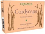 cordyceps