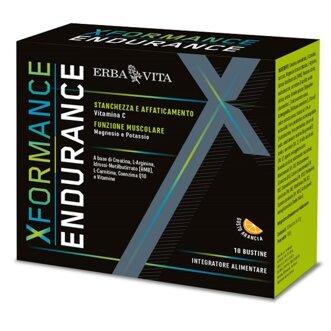 xformance.jpeg xformance.jpeg