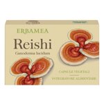 reishi