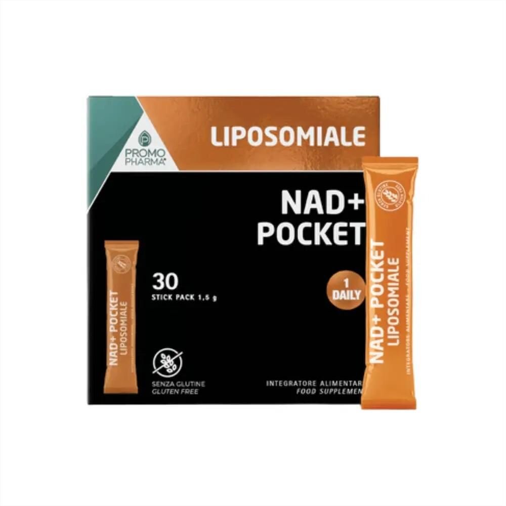 735d5e24-173e-4160-b479-686dda0d402d.jpeg 735d5e24-173e-4160-b479-686dda0d402d.jpeg