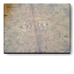 tavolo-inglese-in-radica-di-frassino-olivato