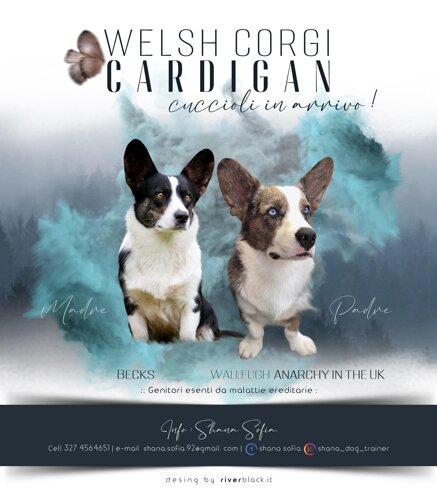 1e7b0d7c38b412c15625d5d96c3e0281591a399e