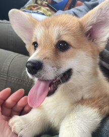 1ea933b5310851d94af342b2a49379b5c6583a52