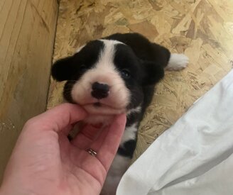 206cc587d1670394fd7075f22a2deadfcca80942