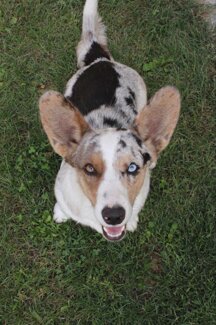 4906f1cacf00e1b39994bf90e8775c82a42ee4c7