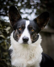 71ff4bd73e4a38af18af5dae45532b1f3fc6a786