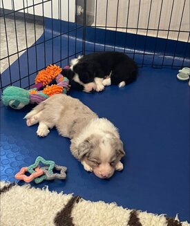 894233a19c3a12993fac484db3d2cb991674b1b8