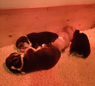 8986c76fe6d08f8696f59e6d56b5fd8aa794bad4