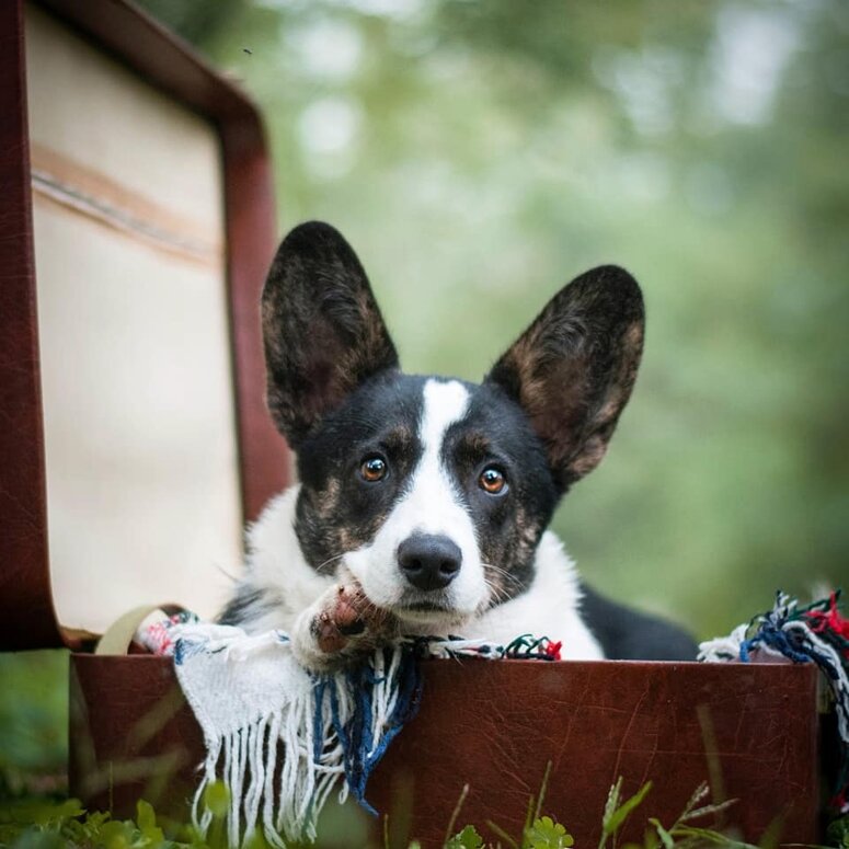 bf987d782826dd0151b631e4a41340a6ee004458