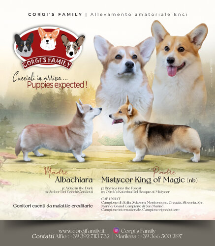 dfc5eaf00b3dbd2601758a7e74557788a4d96fd4