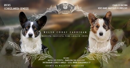 f1def61aec07c66d1542ff3ebd4305542fce907b