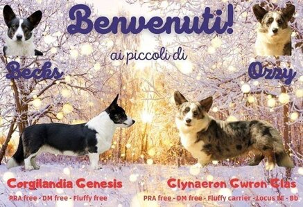 f795282f59684969bcdbbb1ae1590c4d7afa4815