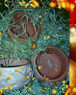 bomboniera-vasetto-delfini-9106cm-in-polvere-di-cotto