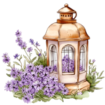 lanterna-e-lavanda-varie-immagini-scegli-e-indica-il-numero