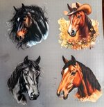 12-dtf-disegno-cavallo-hourse-cm-10x10