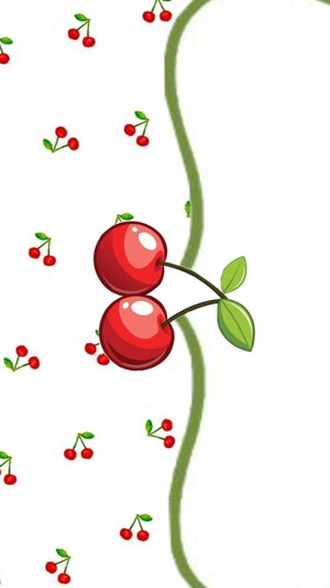 ciliegie-spiritose-4
