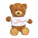 set-composto-da-n5-orsetto-teddy-peluche-in-poliestere-con-t-shirt-sublimabile-22-cm